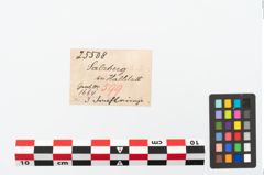Etikett zu Bronzespiralarmreif (NHMW-PRAE-025508)